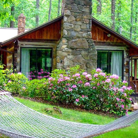 Asheville Cabins Of Willow Winds Dış mekan fotoğraf